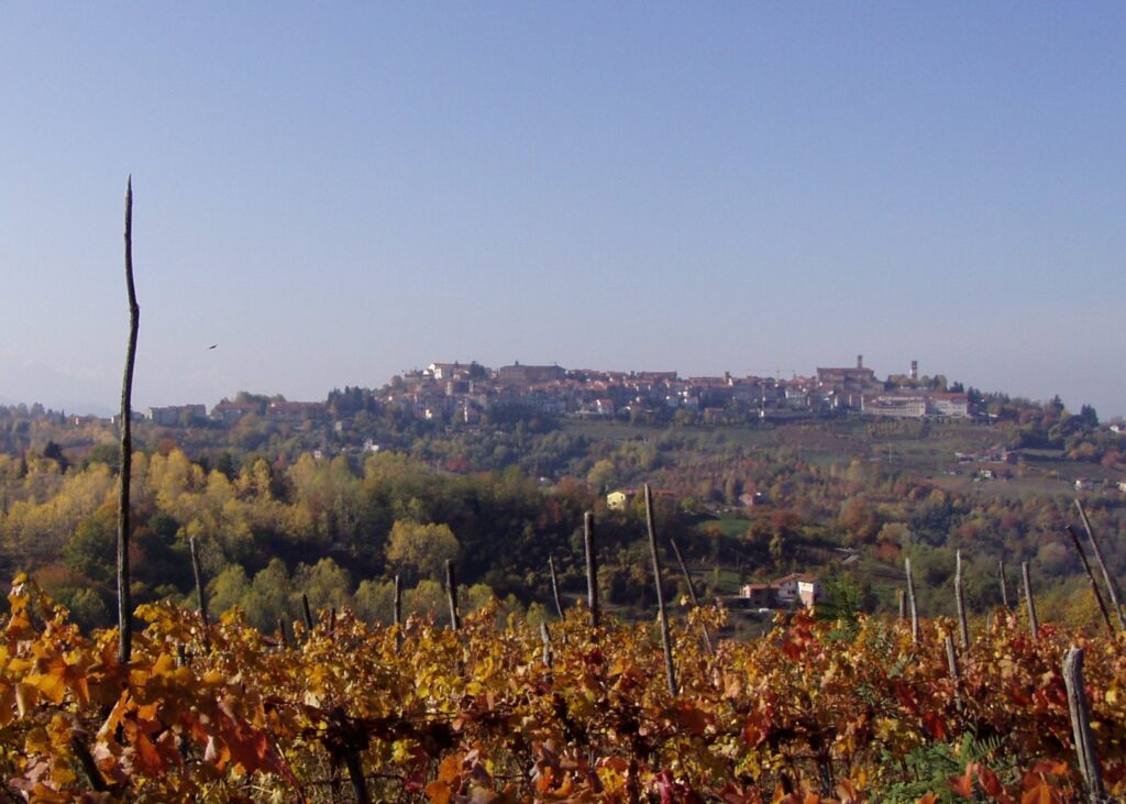 langa monregalese